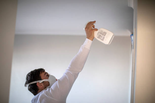 Best Commercial Mold Removal  in Hinton, OK