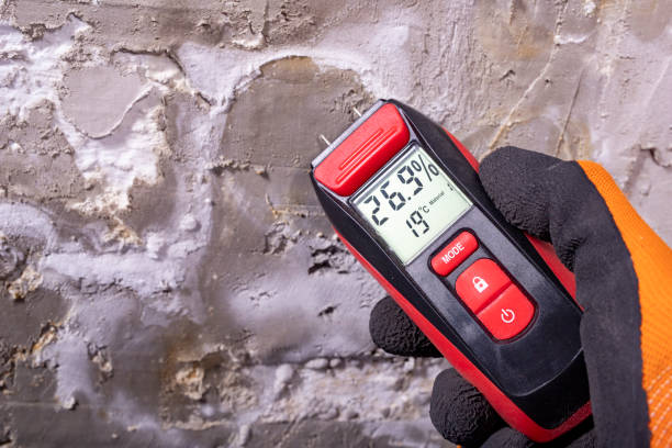 Best Best Mold Removal Companies  in Hinton, OK