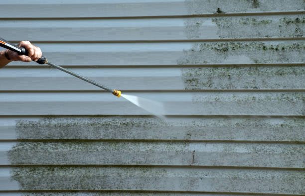 Best Fast Mold Removal  in Hinton, OK