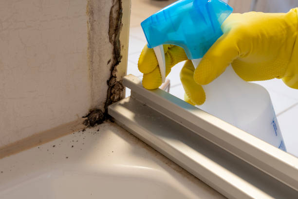 Best Mold Testing  in Hinton, OK
