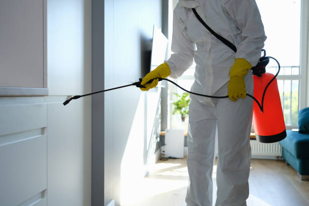 Best Mold Testing  in Hinton, OK