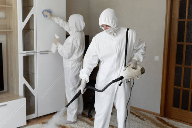 Best Crawl Space Mold Removal  in Hinton, OK