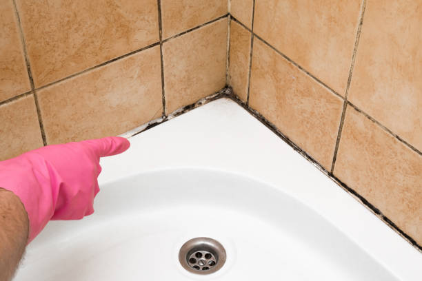 Best Office Mold Removal Services  in Hinton, OK
